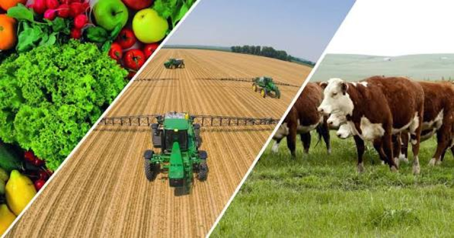 Grandes nomes do agro nacional em Campos no 1º Interior AgroCoop